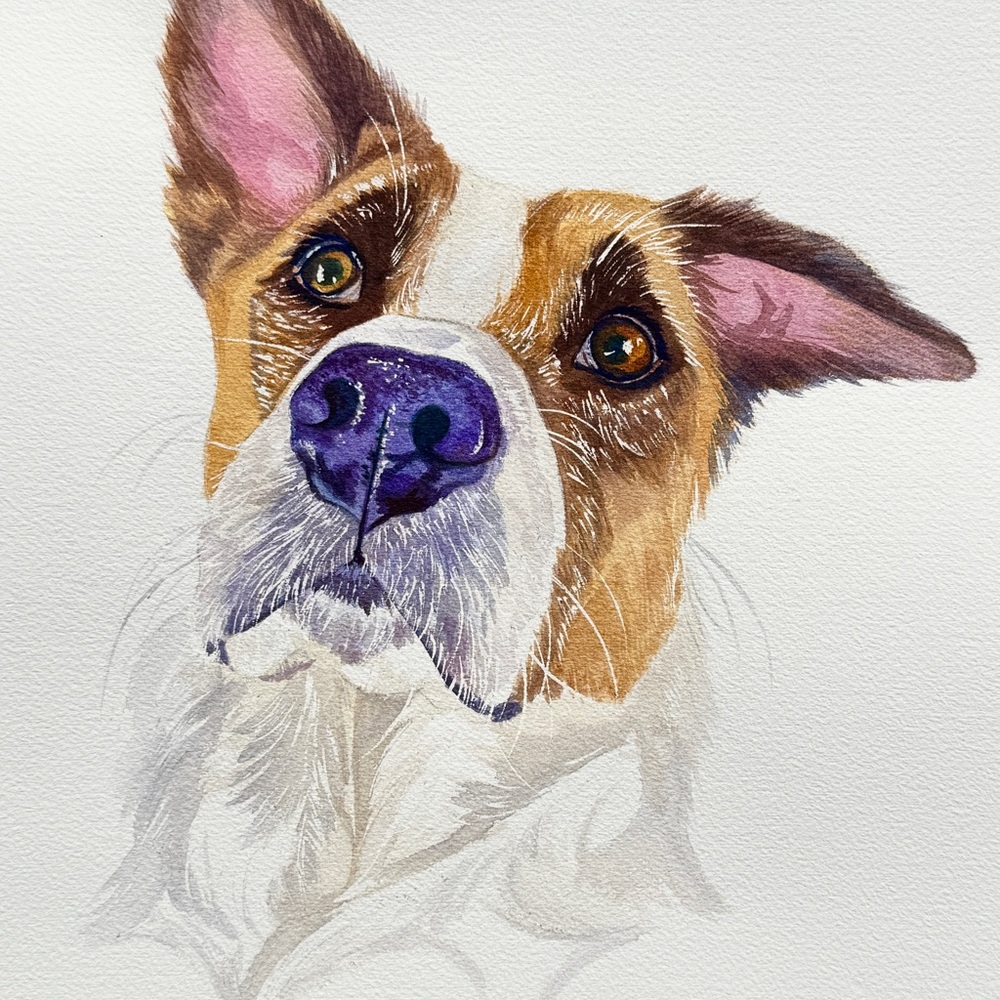 Pet Portrait - Picture 6 of 6